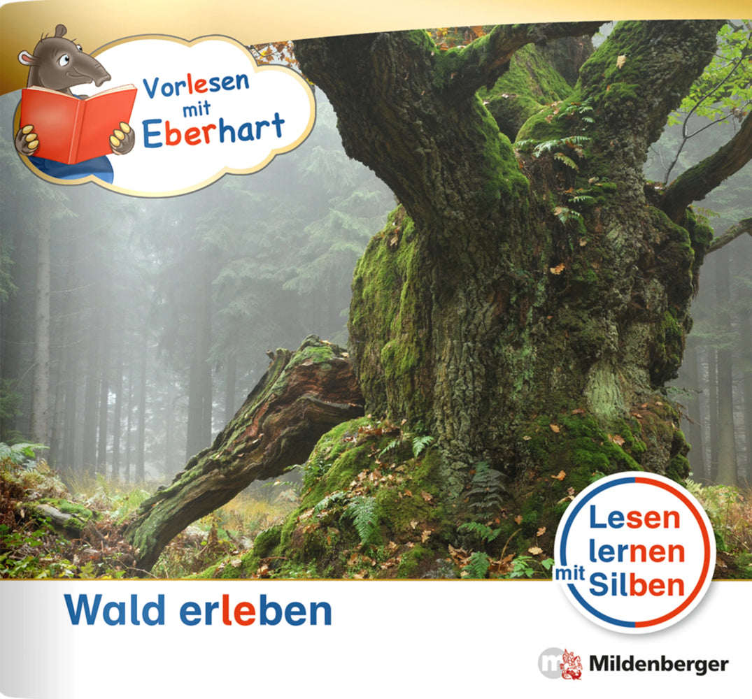 Vorlesen mit Eberhart - Wald erleben - Nachbezug Einzelheft (Nicole Brandau)
