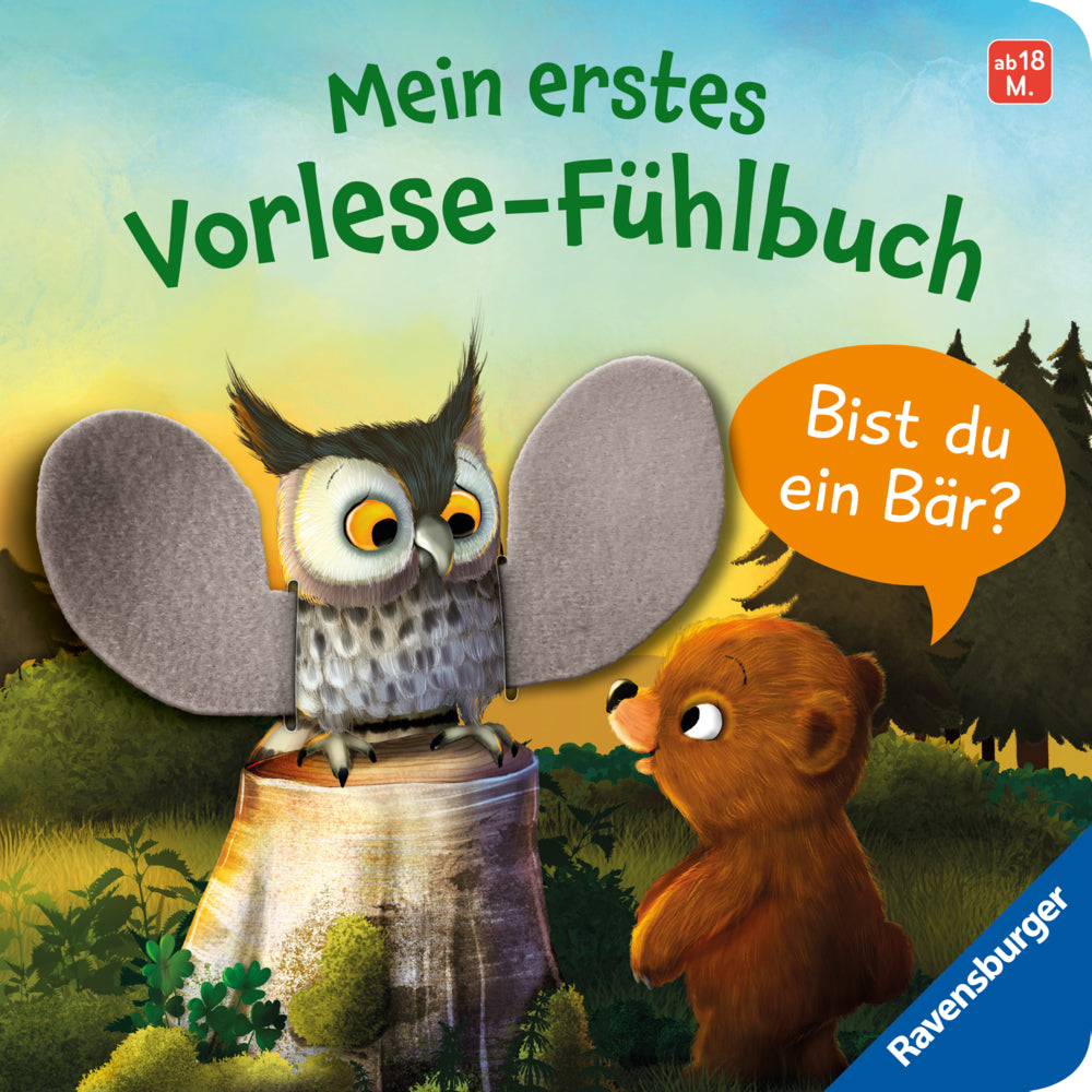 Mein erstes Vorlese-Fühlbuch - Bist du ein Bär? (Kathrin Lena Orso)