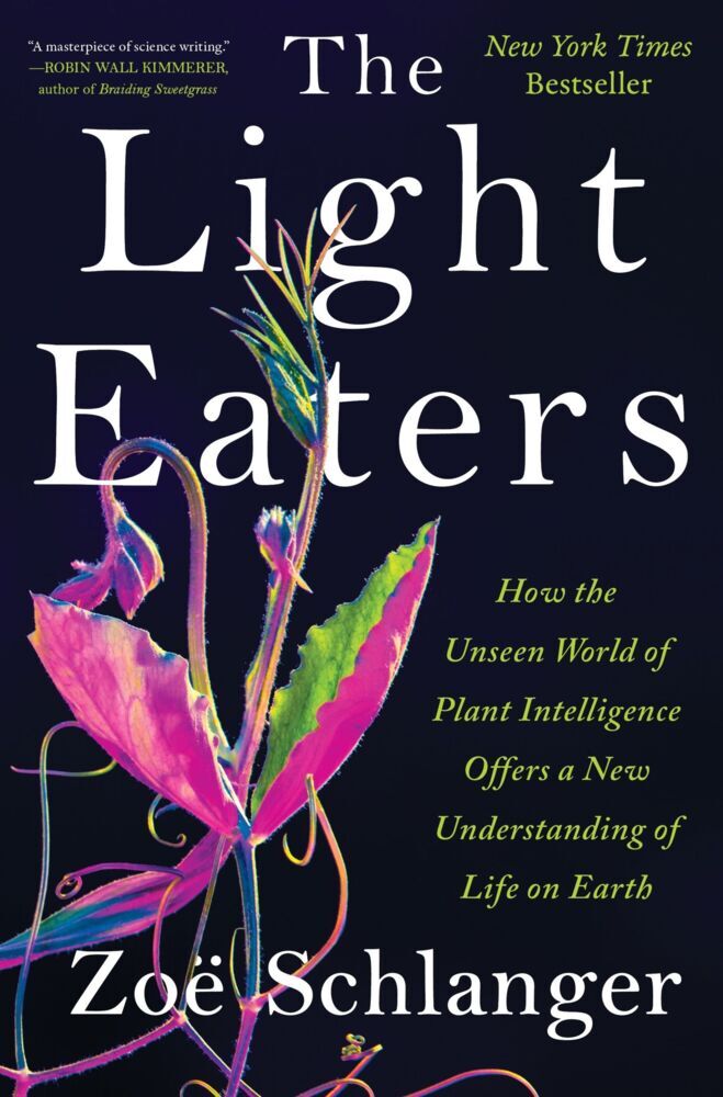 The Light Eaters (Zoë Schlanger)