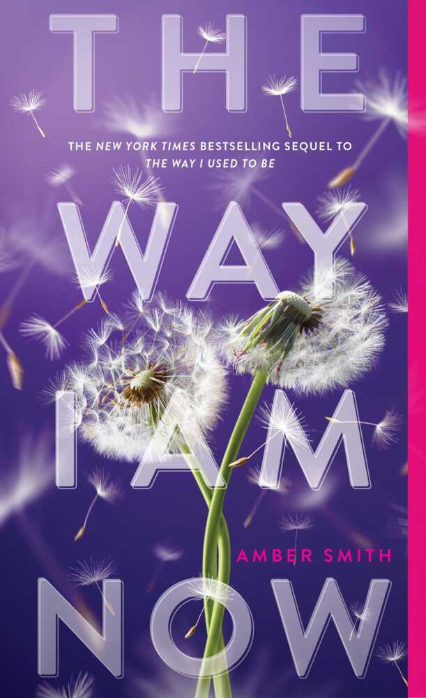 The Way I Am Now (Amber Smith)