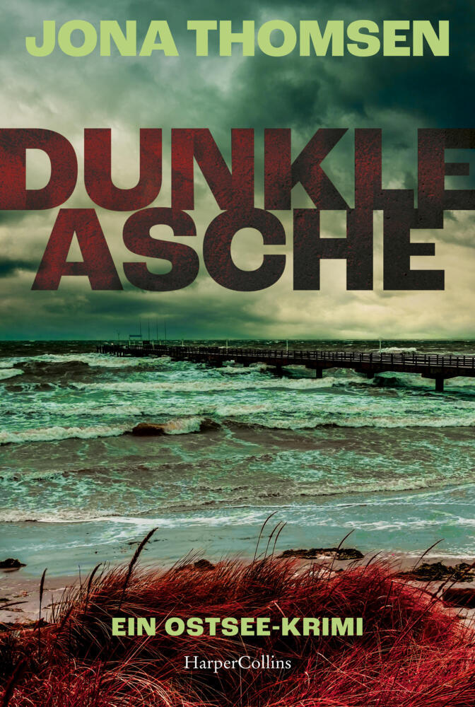 Dunkle Asche (Jona Thomsen)