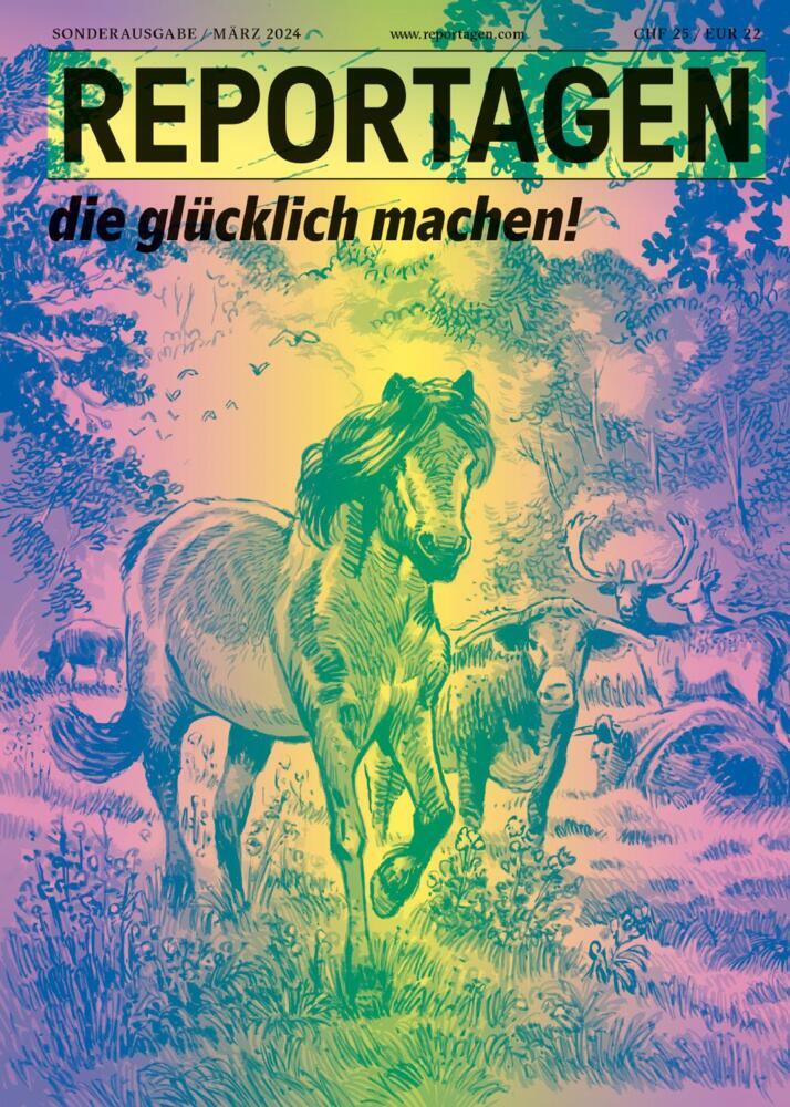 Reportagen Glück (Amir Hassan Cheheltan)
