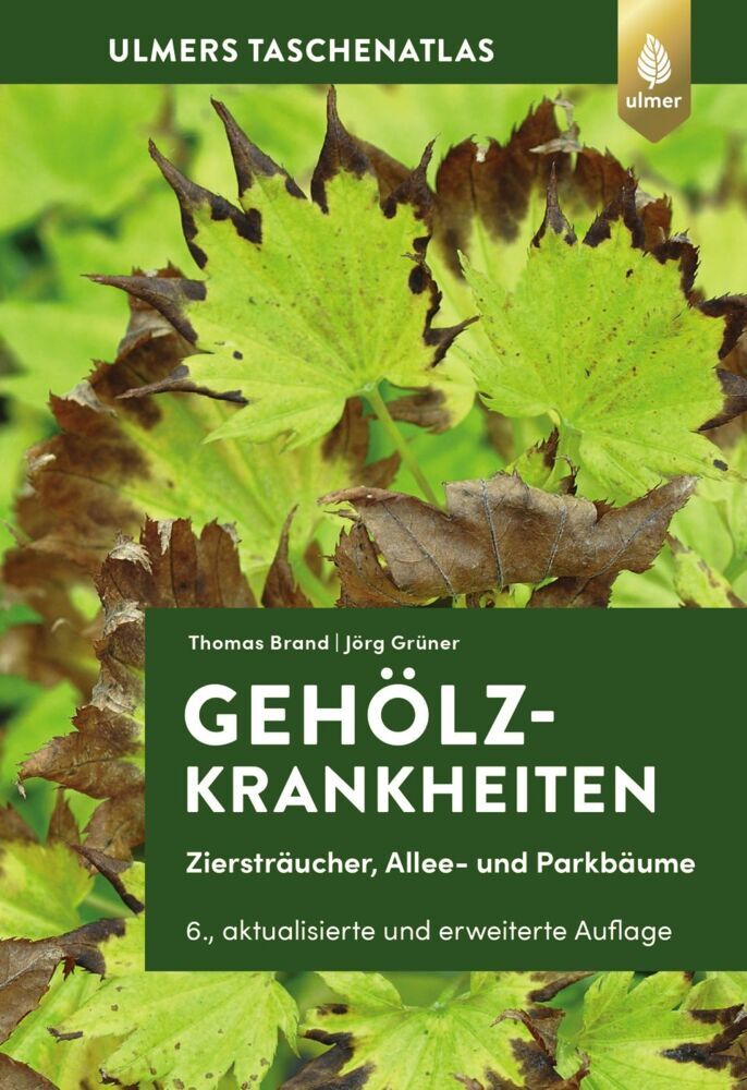 Gehölzkrankheiten (Thomas Brand)