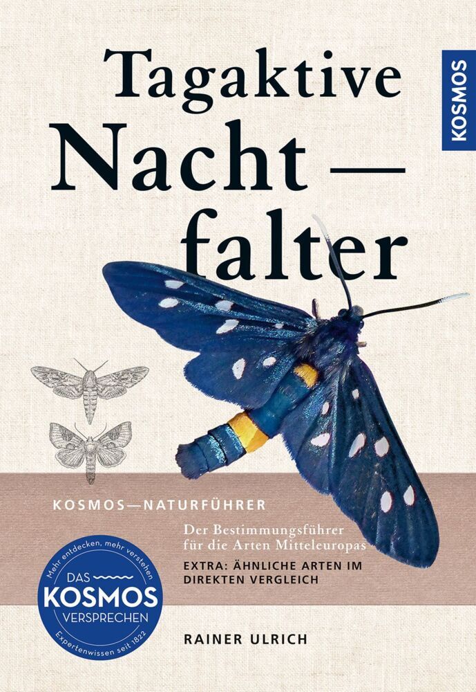 Tagaktive Nachtfalter (Rainer Ulrich)