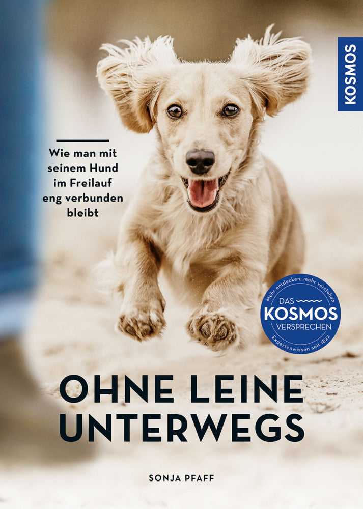 Ohne Leine unterwegs (Sonja Pfaff)