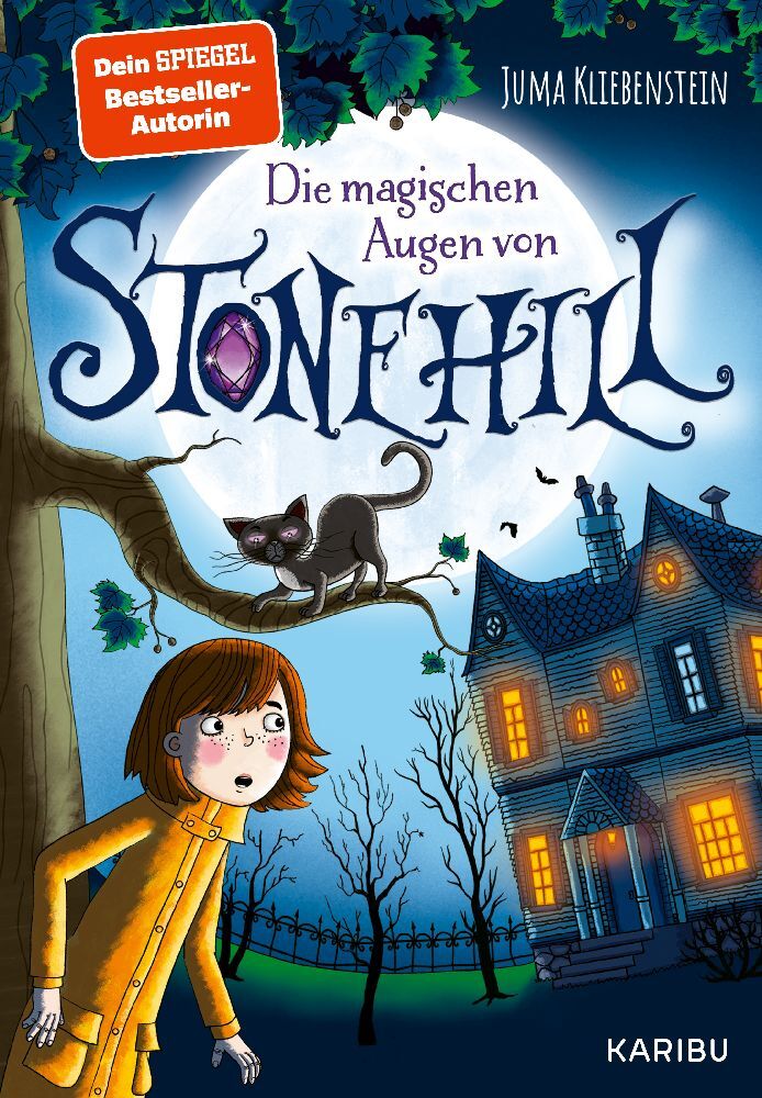 Die magischen Augen von Stonehill (Juma Kliebenstein)
