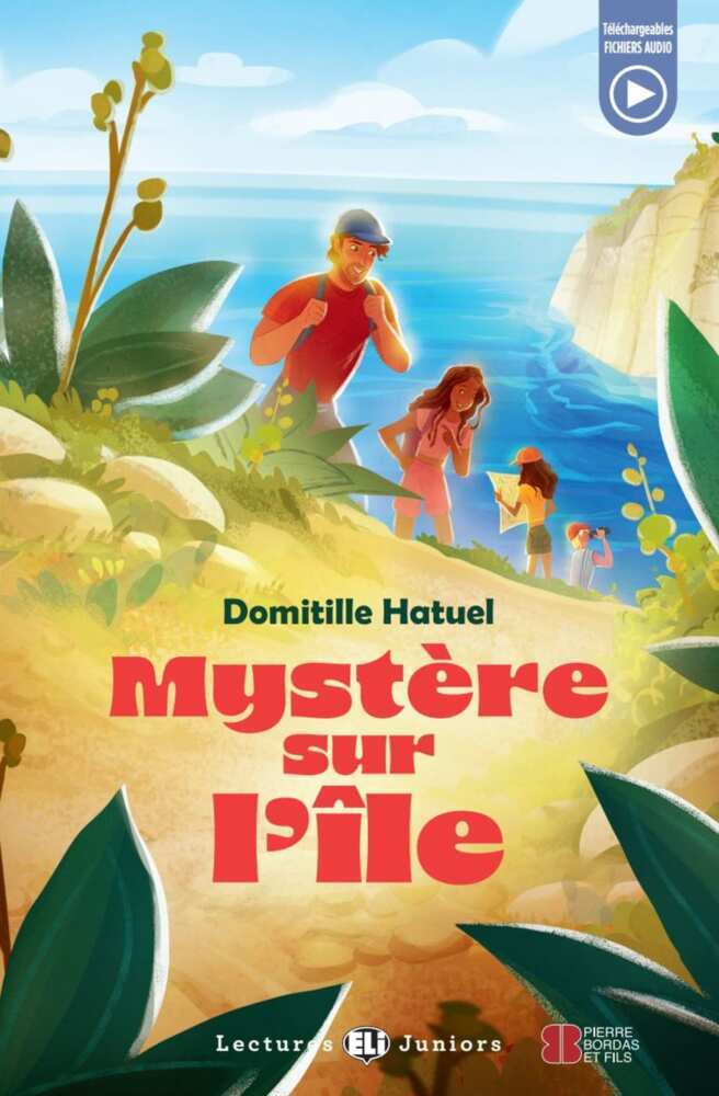 Mystère sur l'île (Domitille Hatuel)
