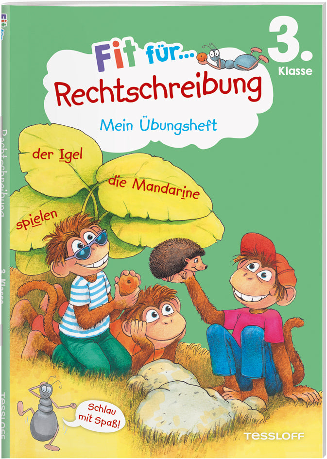 Fit für Rechtschreibung 3. Klasse. Mein Übungsheft (Sabine Helmchen)