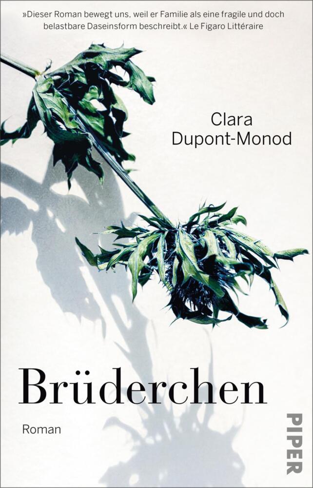 Brüderchen (Clara Dupont-Monod)