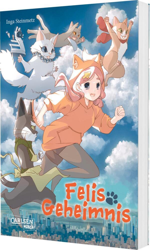 Felis Geheimnis (Inga Steinmetz)