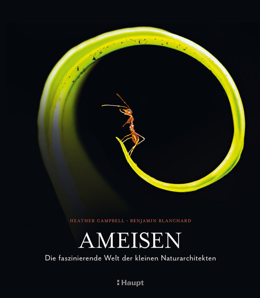 Ameisen (Heather Campbell)