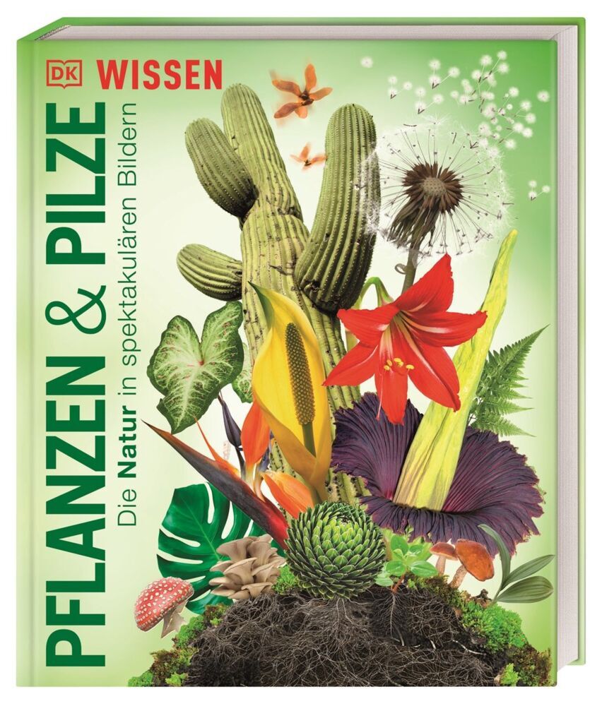 DK Wissen. Pflanzen und Pilze (Dk Verlag - Kids)