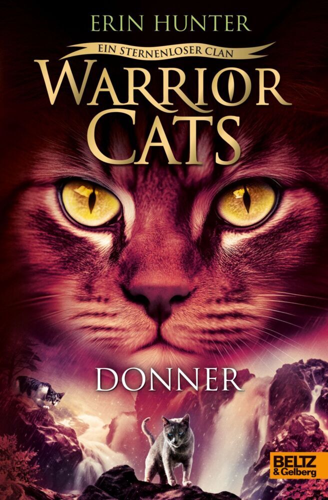Warrior Cats - Ein sternenloser Clan. Donner (Erin Hunter)
