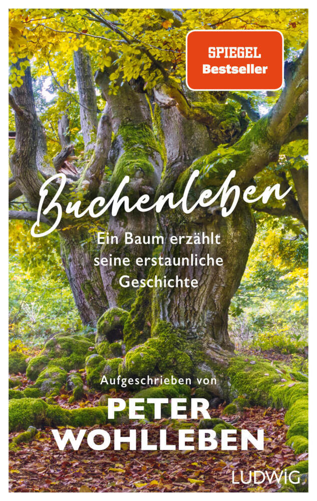 Buchenleben (Peter Wohlleben)