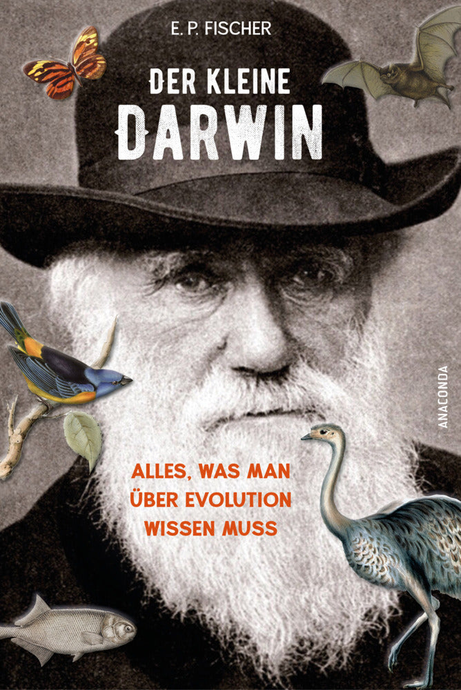 Der kleine Darwin. Alles, was man über Evolution wissen muss (Ernst Peter Fischer)