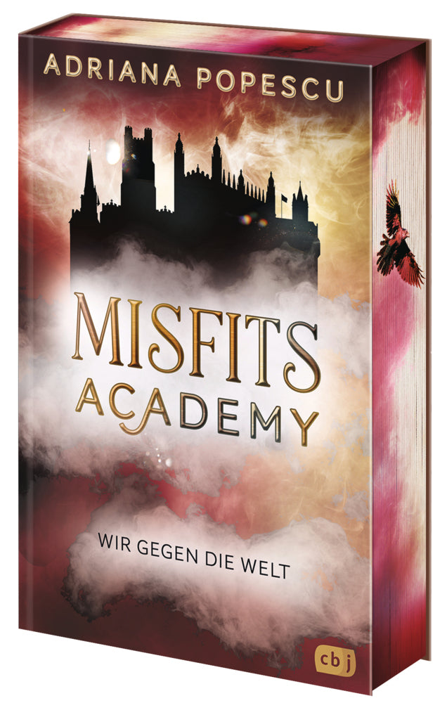 Misfits Academy - Wir gegen die Welt (Adriana Popescu)
