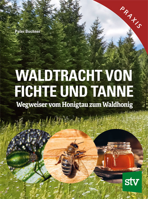Waldtracht von Fichte und Tanne (Peter Buchner)