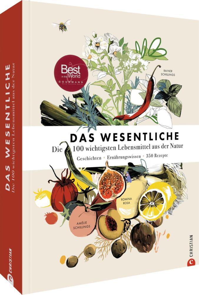 Das Wesentliche (Rainer Schillings)