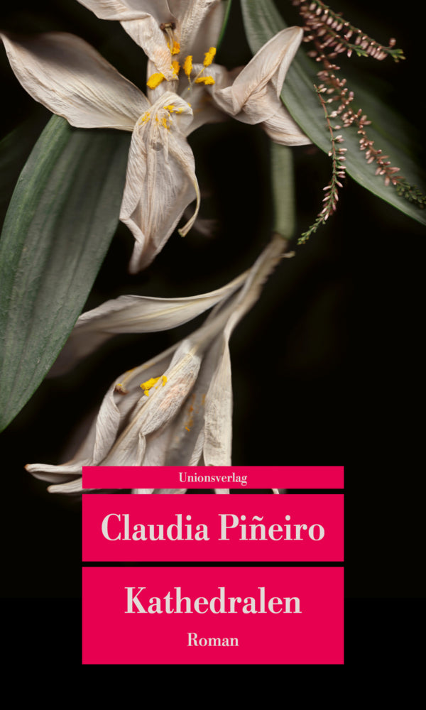 Kathedralen (Claudia Piñeiro)
