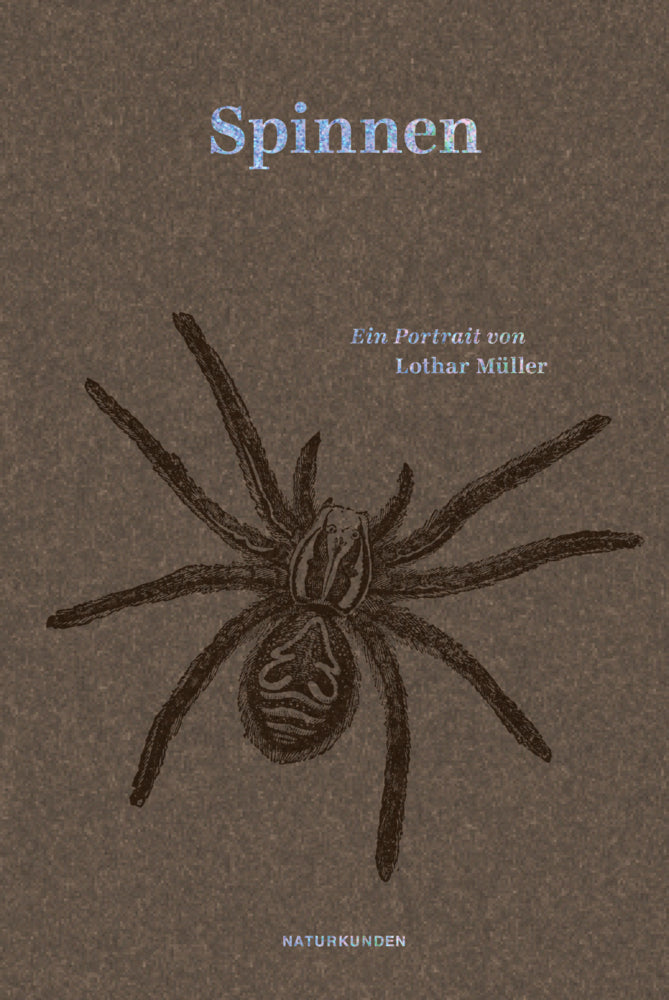Spinnen (Lothar Müller)