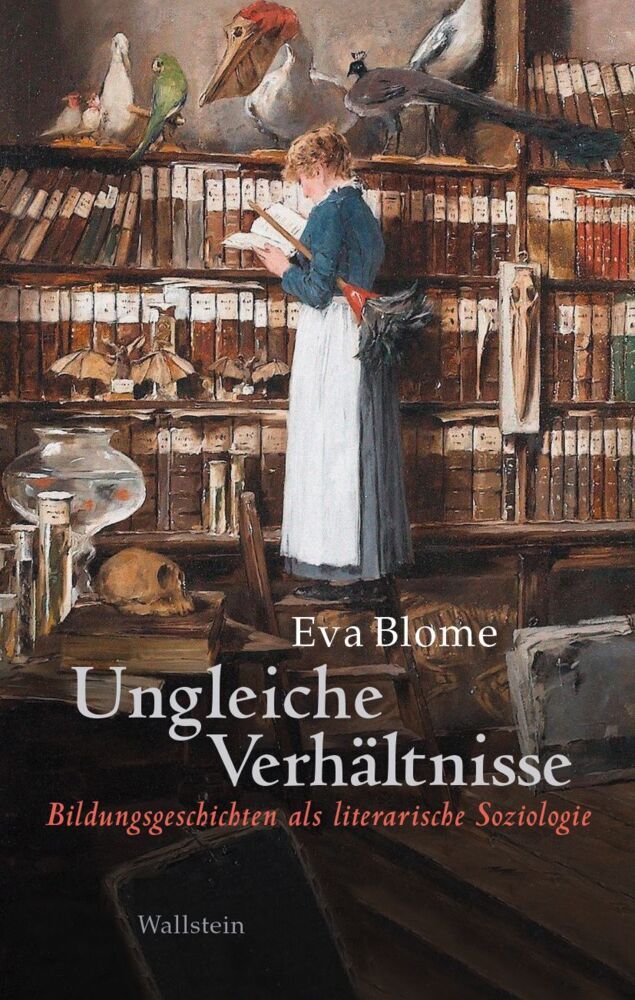 Ungleiche Verhältnisse (Eva Blome)