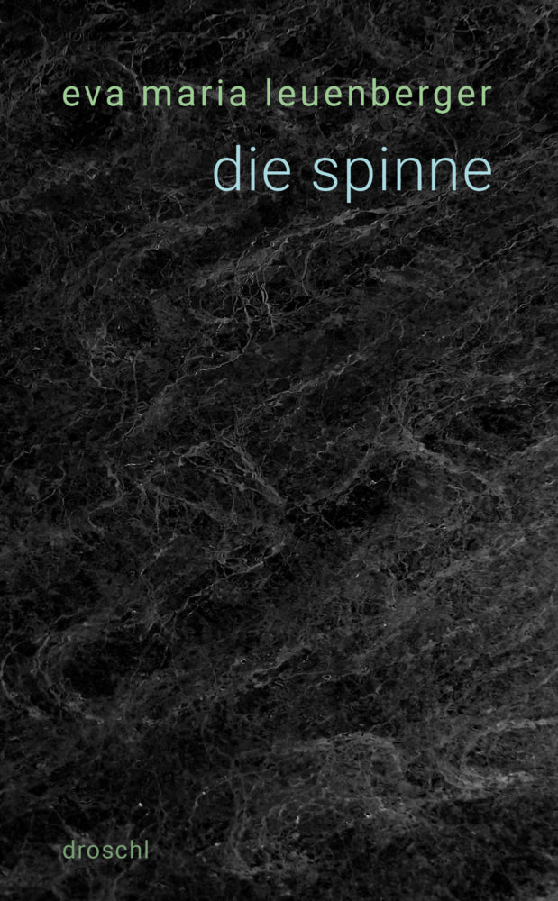 die spinne (Eva Maria Leuenberger)