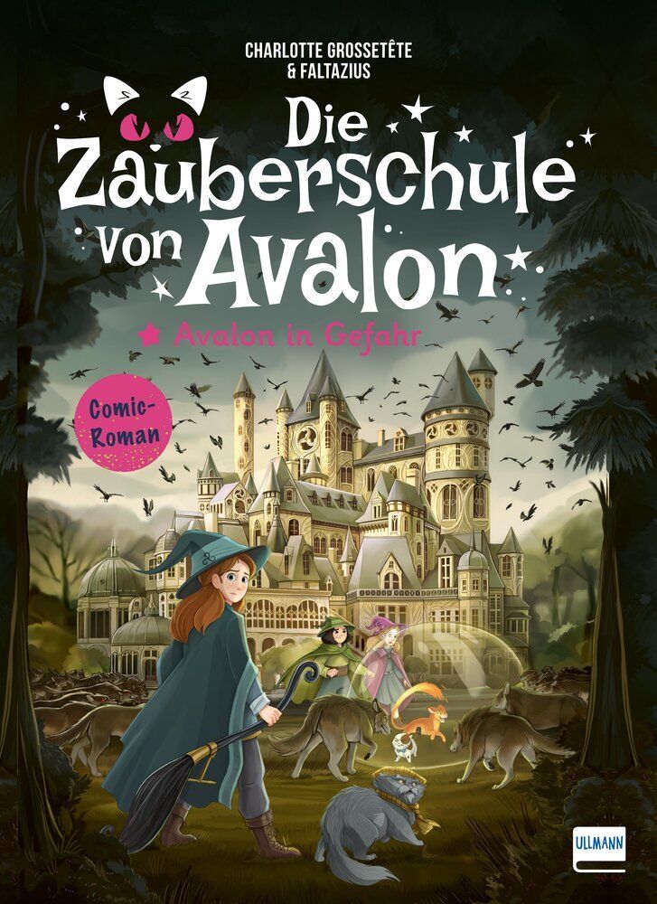 Die Zauberschule von Avalon - Avalon in Gefahr (Charlotte Grossetête)
