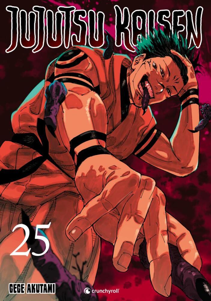 Jujutsu Kaisen - Band 25 (Gege Akutami)