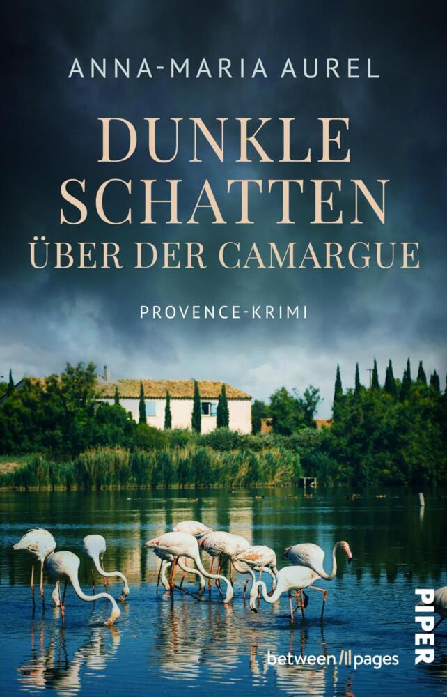 Dunkle Schatten über der Camargue (Anna-Maria Aurel)