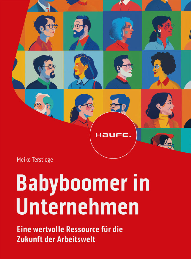 Babyboomer in Unternehmen (Meike Terstiege)