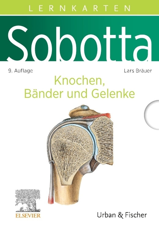 Sobotta Lernkarten Anatomie: Knochen, Bänder und Gelenke (Lars Bräuer)
