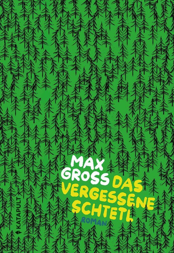 Das vergessene Schtetl (Max Gross)