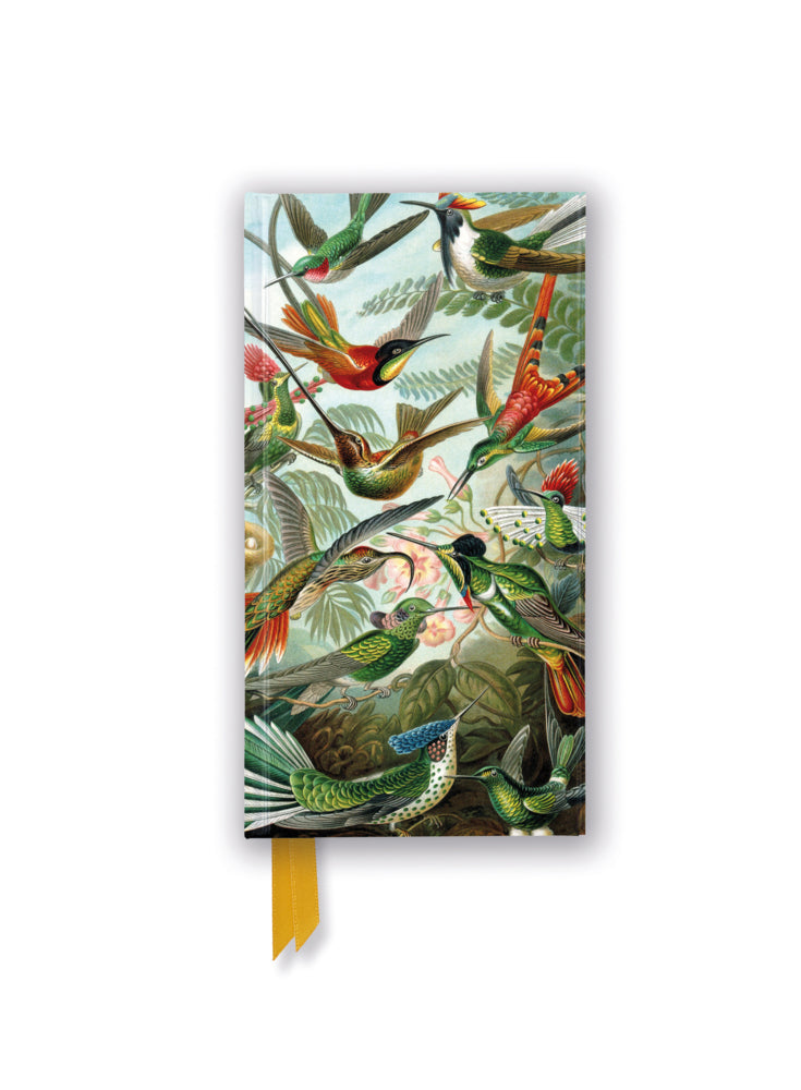 Schmales Hardcover-Notizbuch: Ernst Haeckel, Kolibris (Flame Tree Publishing)