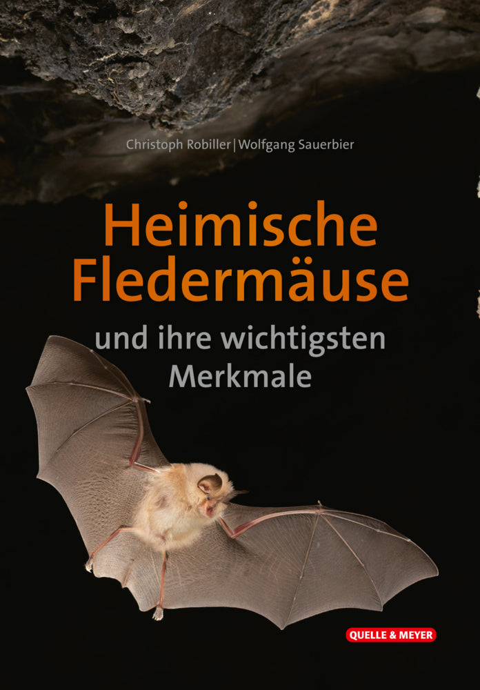 Heimische Fledermäuse und ihre wichtigsten Merkmale (Christoph Robiller)