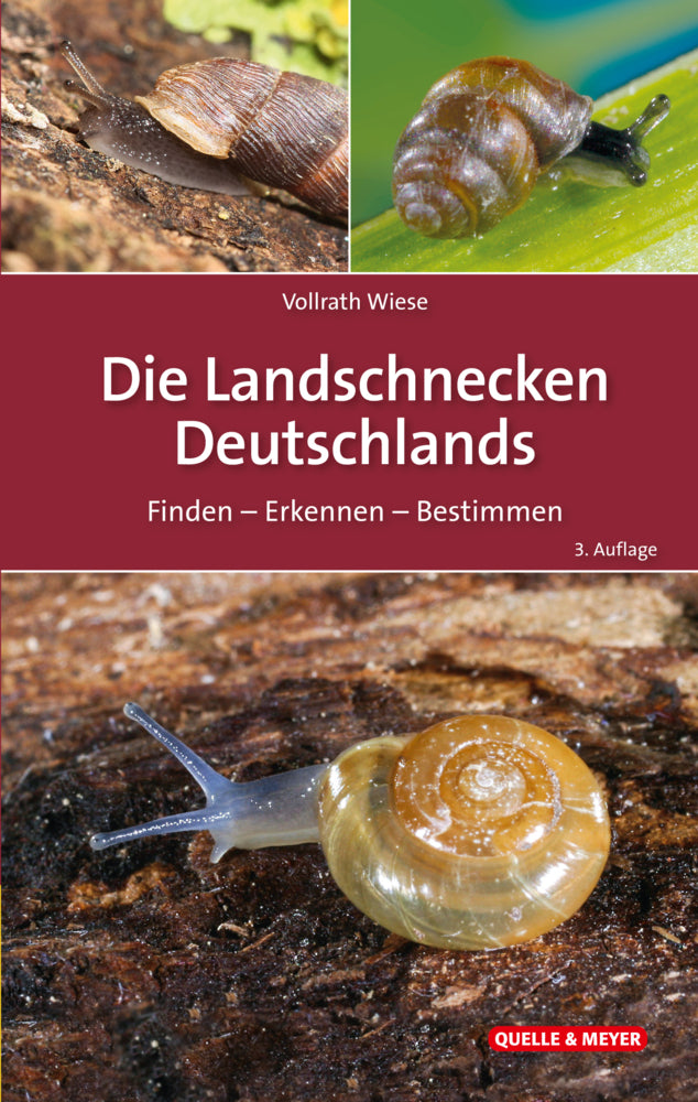 Die Landschnecken Deutschlands (Vollrath Wiese)