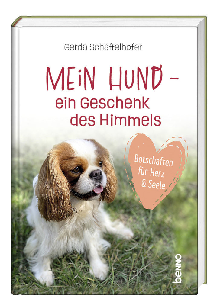 Mein Hund - ein Geschenk des Himmels (Gerda Schaffelhofer)