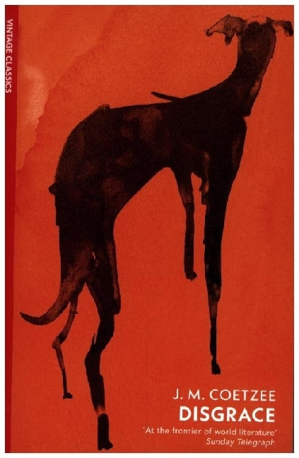 Disgrace (J. M. Coetzee)