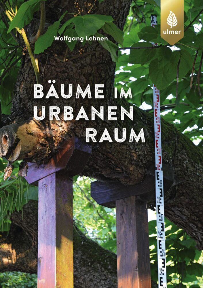 Bäume im urbanen Raum (Wolfgang Lehnen)