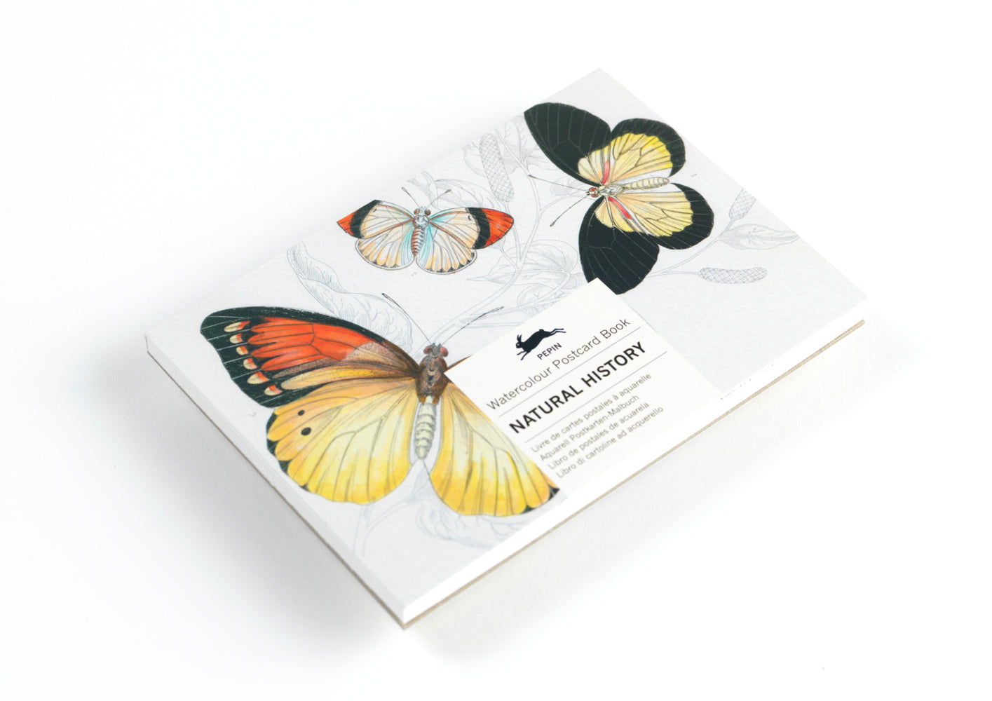 Natural History (Pepin Van Roojen)