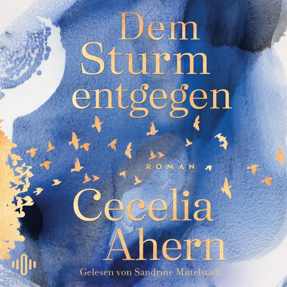 Dem Sturm entgegen, 2 Audio-CD, 2 MP3 (Cecelia Ahern)