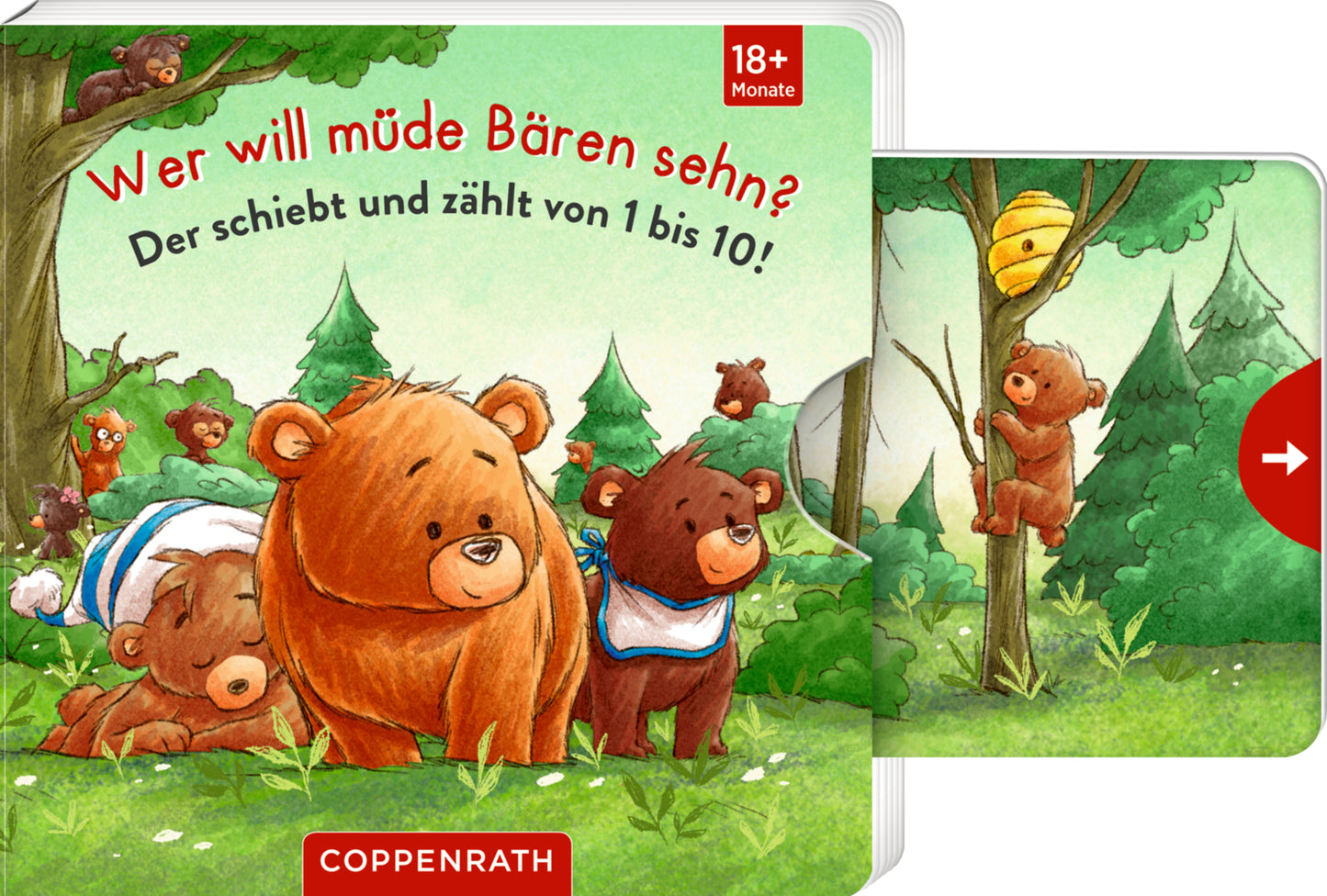 Wer will müde Bären sehn? (Cornelia Boese)
