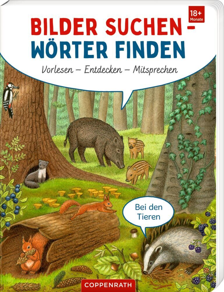 Bilder suchen - Wörter finden: Vorlesen - Entdecken - Mitsprechen (Cornelia Boese)