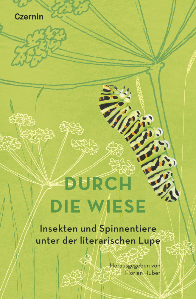 Durch die Wiese (Florian Huber)