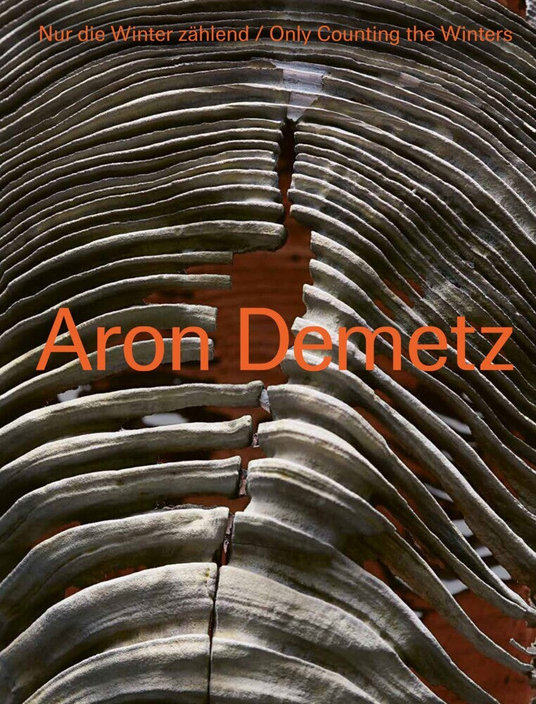 Aron Demetz (Klaus Herold)