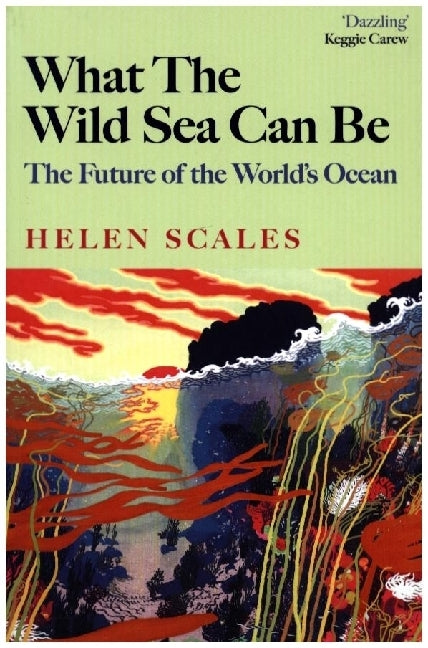 What the Wild Sea Can Be (Helen Scales)