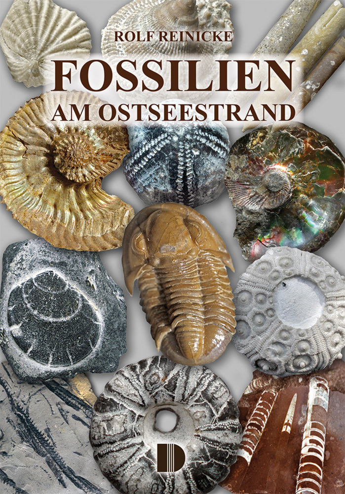 Fossilien am Ostseestrand (Rolf Reinicke)