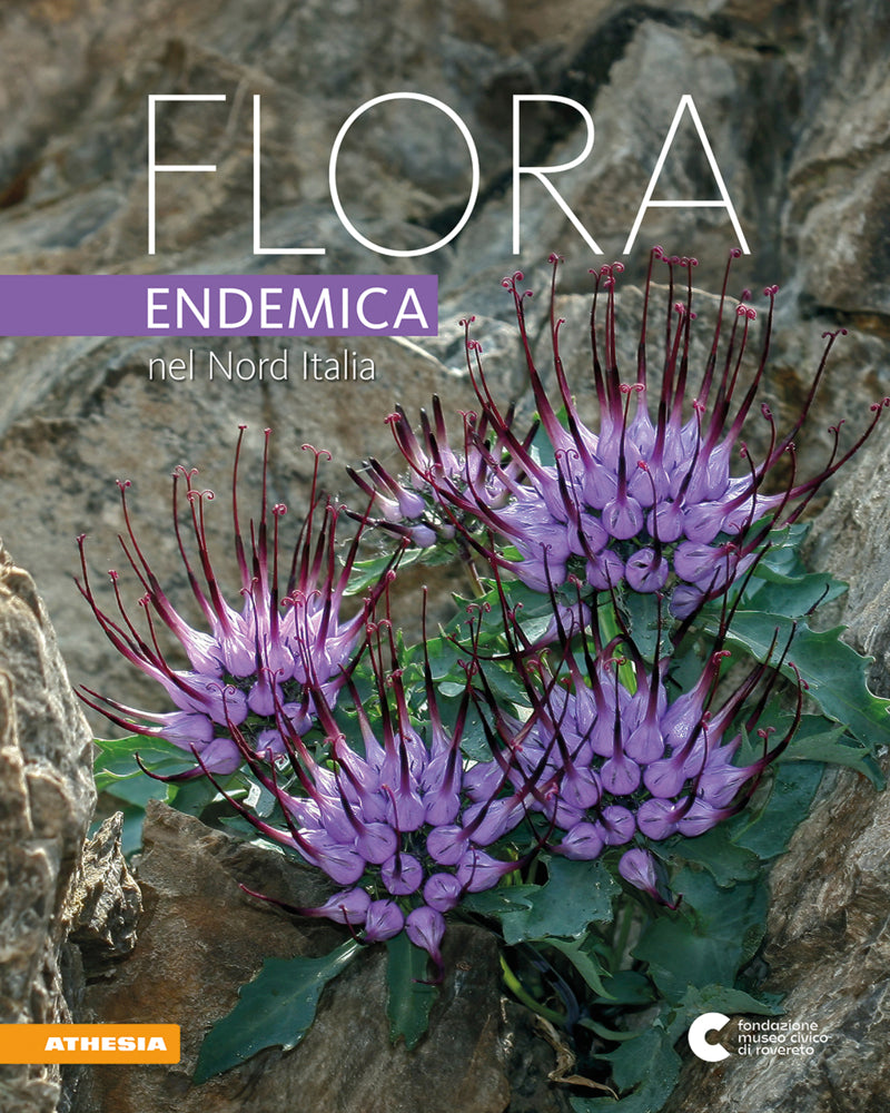 Flora endemica nel Nord Italia (Michele Adorni)