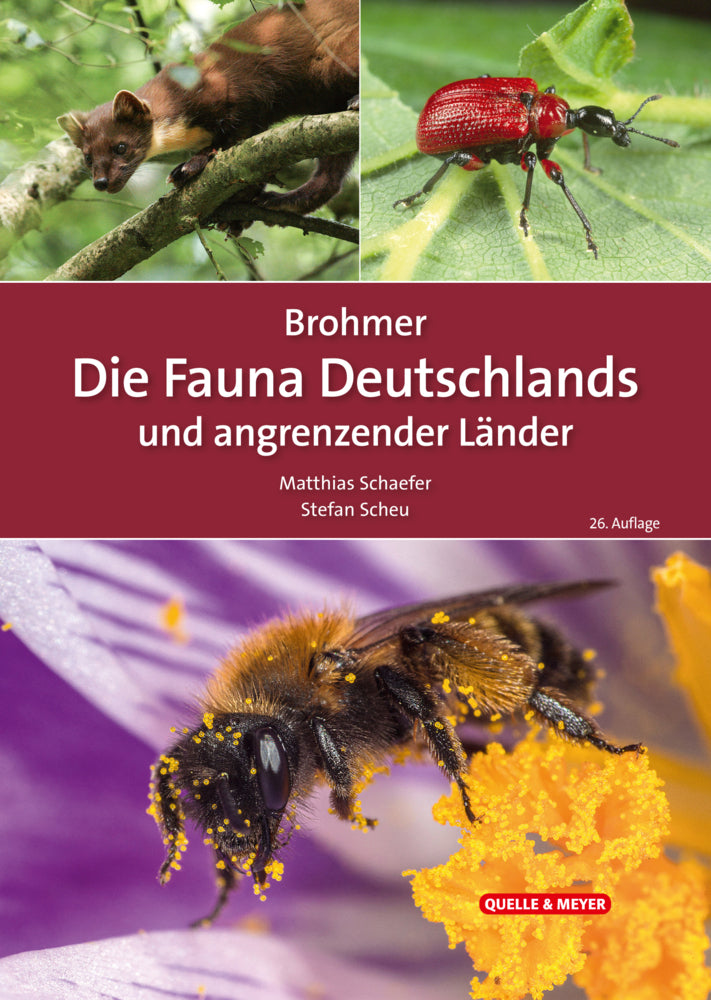 Brohmer - Die Fauna Deutschlands und angrenzender Länder (Matthias Schaefer)