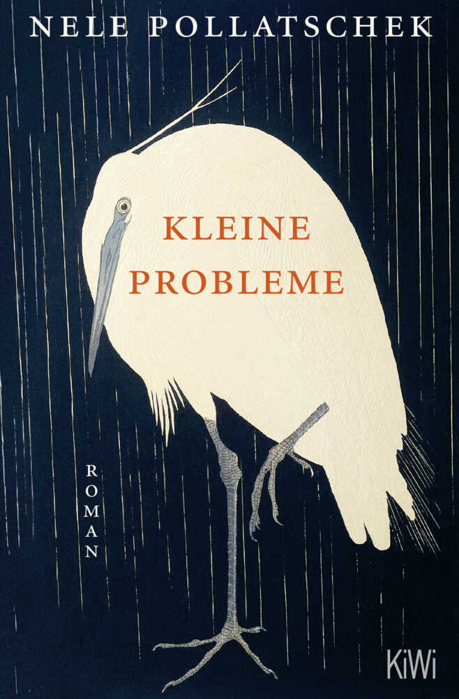 Kleine Probleme (Nele Pollatschek)