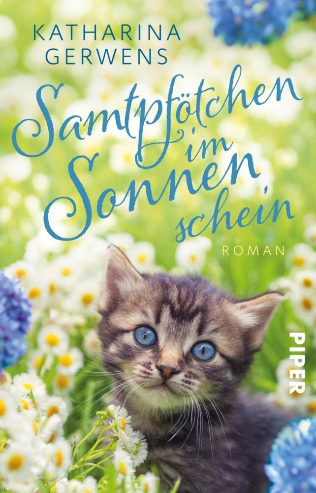 Samtpfötchen im Sonnenschein (Katharina Gerwens)